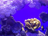 20181208_152424