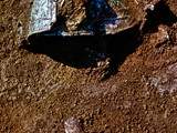 Archeologic1 copy