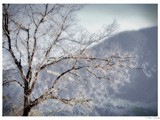 BANSKO (118)
