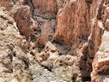 bricat Zfira-nahal zeelim (10)