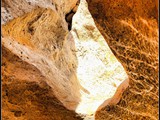 bricat Zfira-nahal zeelim (16)frame