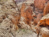 bricat Zfira-nahal zeelim (6)