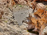 bricat Zfira-nahal zeelim (7)