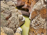 bricat Zfira-nahal zeelim (8)frame
