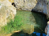 Crocodile stream-009