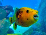Eilat-021