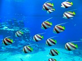 Eilat-023