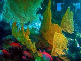 Eilat11_044