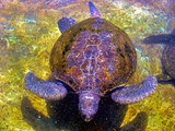 Eilat11_067