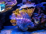Eilat11_094