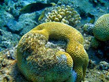 Eilat_124