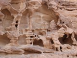 Eilat (34)