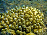 Eilat_41