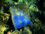 Eilat_52