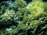 Eilat_95