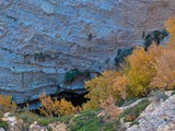 Ein-Avdat upper-003-pan