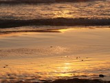 IMG_5087