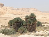 IMG_8461
