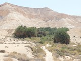 IMG_8464