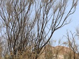 IMG_8465