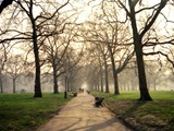 London023