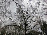 London-029