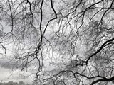 London-030