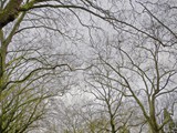 London-031