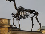 London-211