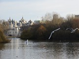 London-245