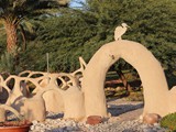 Lotan (102)