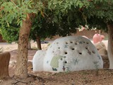 Lotan (45)