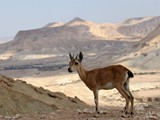 Midreshet Ben-Gurion-004
