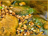 Nahal Amud-019water-frame