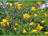 Nahal Amud-027 (2)fade-border