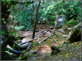 Nahal Amud_07water-frame