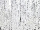 nature002-1pencil dry brush