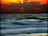 Sea_7-1 copy