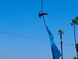 Sea world-021