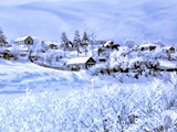 torgok008-snow