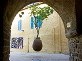 Yafo15
