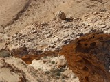Zror mountain-036