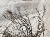 Zror mountain-056