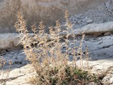 Zror mountain-061