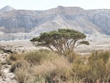 Zror mountain-066