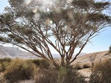 Zror mountain-067
